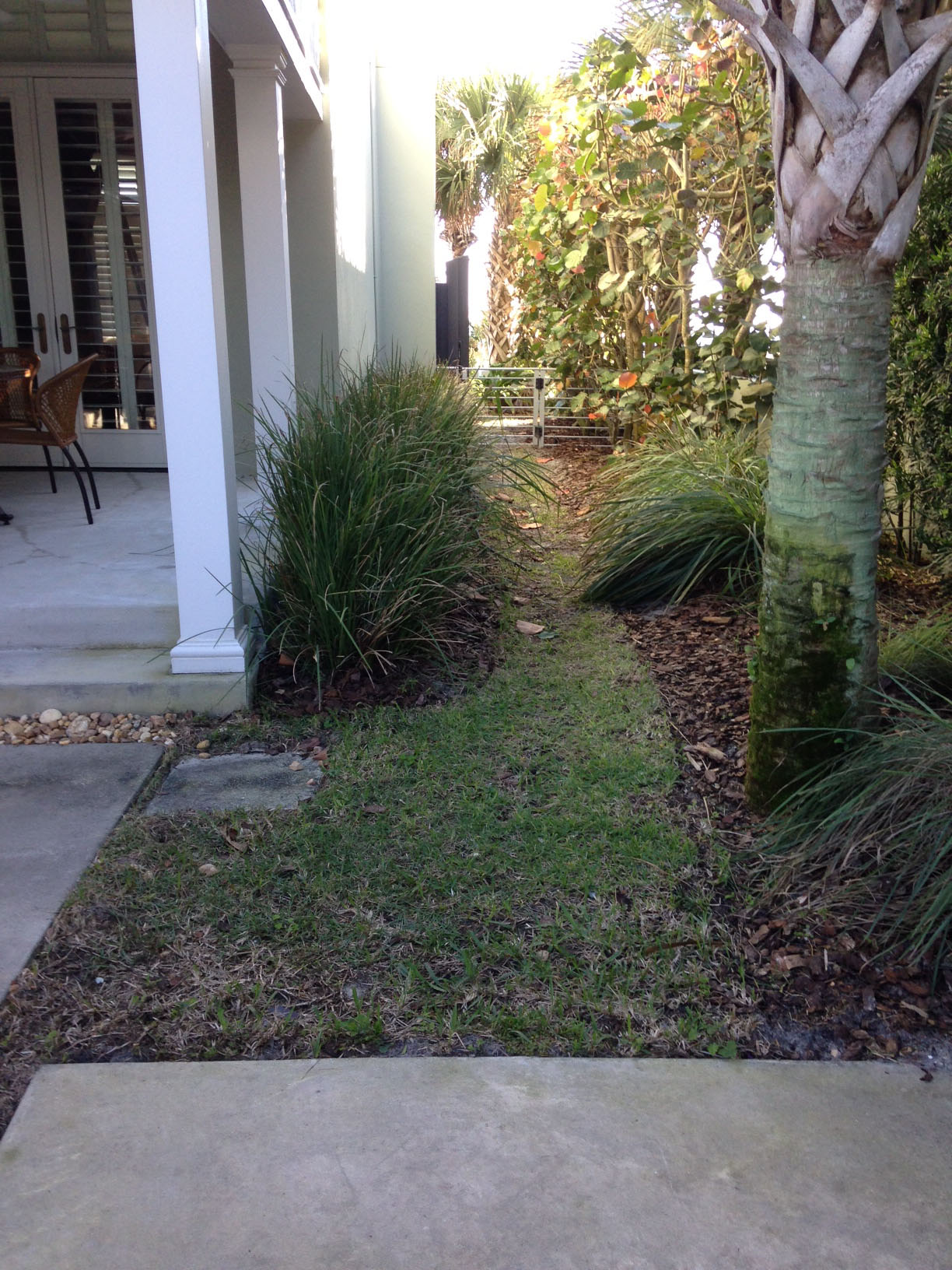 Beachside Gardens, LLC - King Before