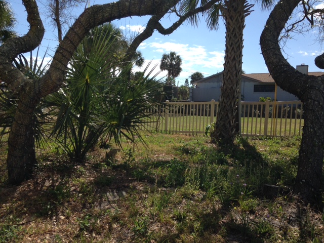 Beachside Gardens, LLC - Miller Before