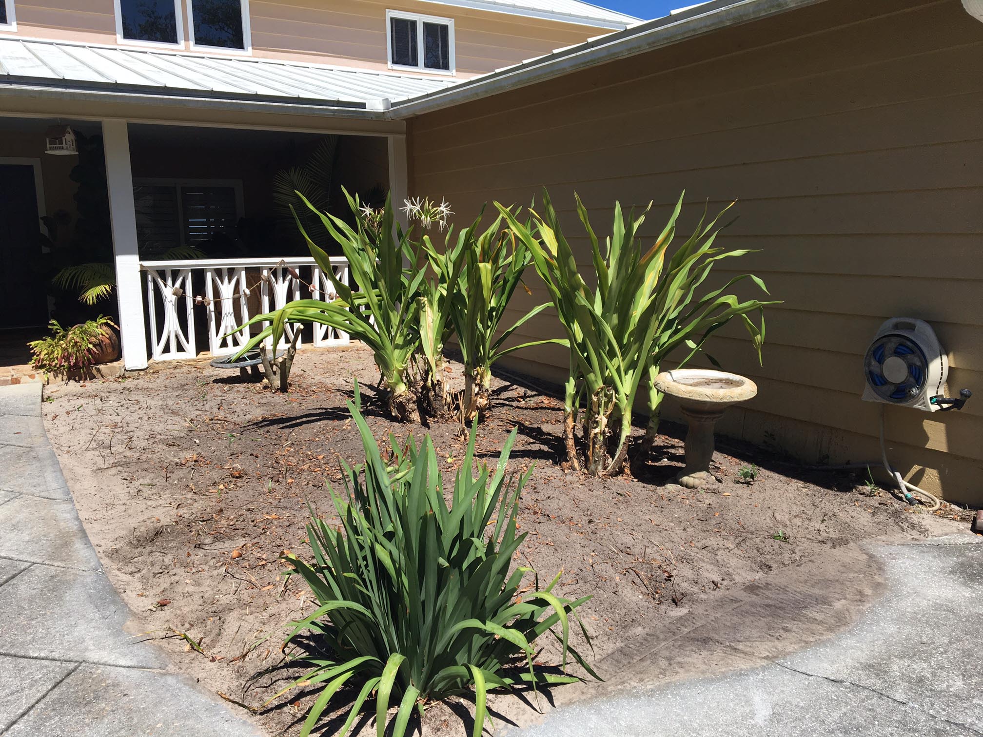 Beachside Gardens, LLC - Odwyer Before