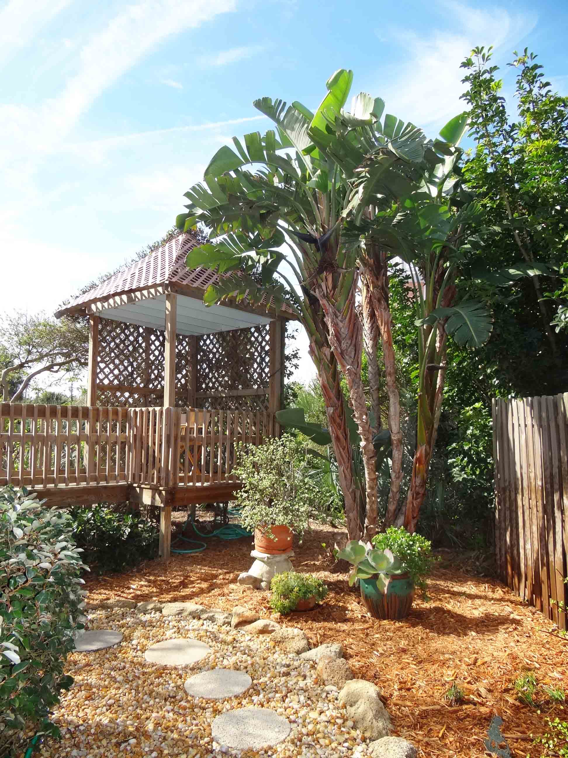 Beachside Gardens, LLC - BEACHSIDE DROUGHT TOLERANT