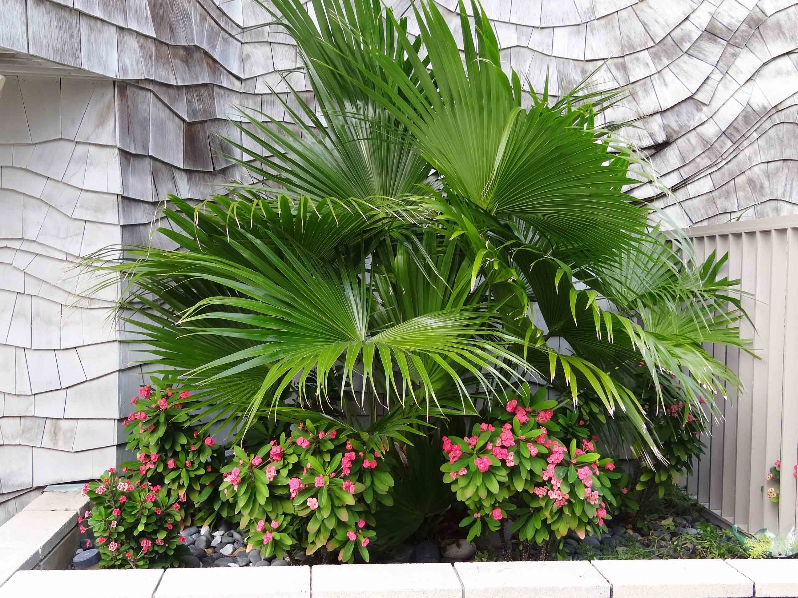 Beachside Gardens, LLC - BEACHSIDE ROCK PLANTER BOX