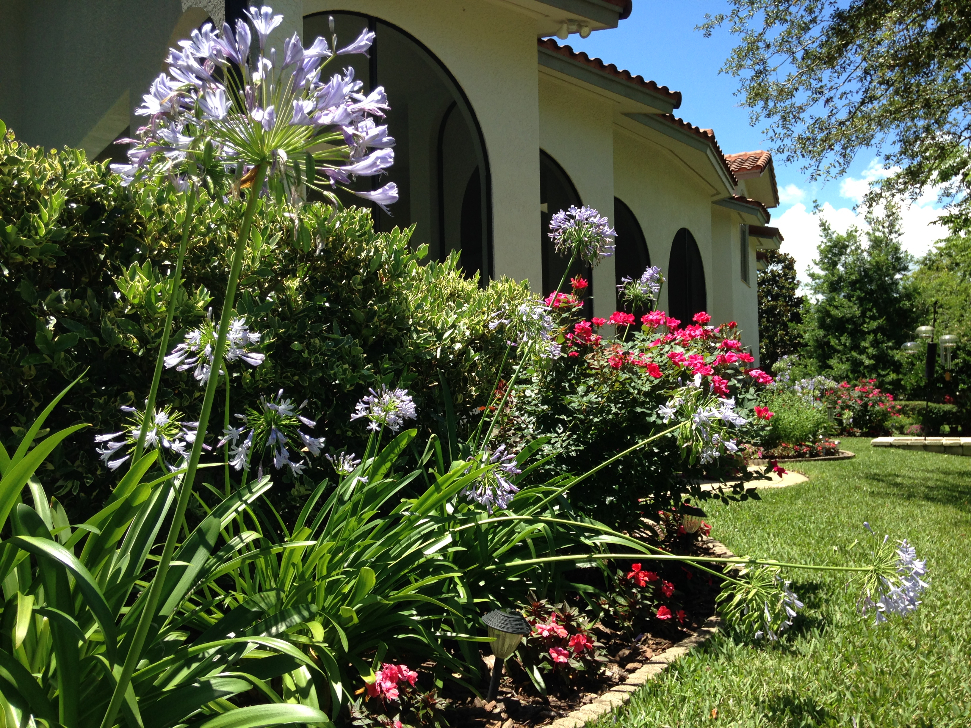 Beachside Gardens, LLC - FLOWERING GARDEN