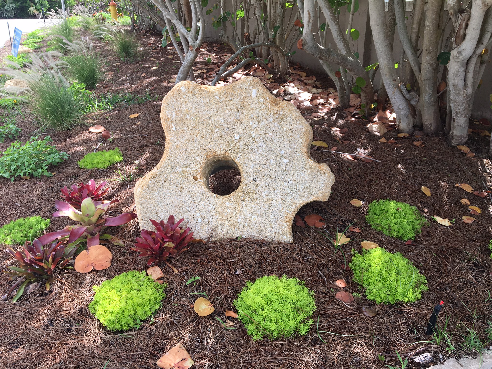 Beachside Gardens, LLC - FOCAL ROCK