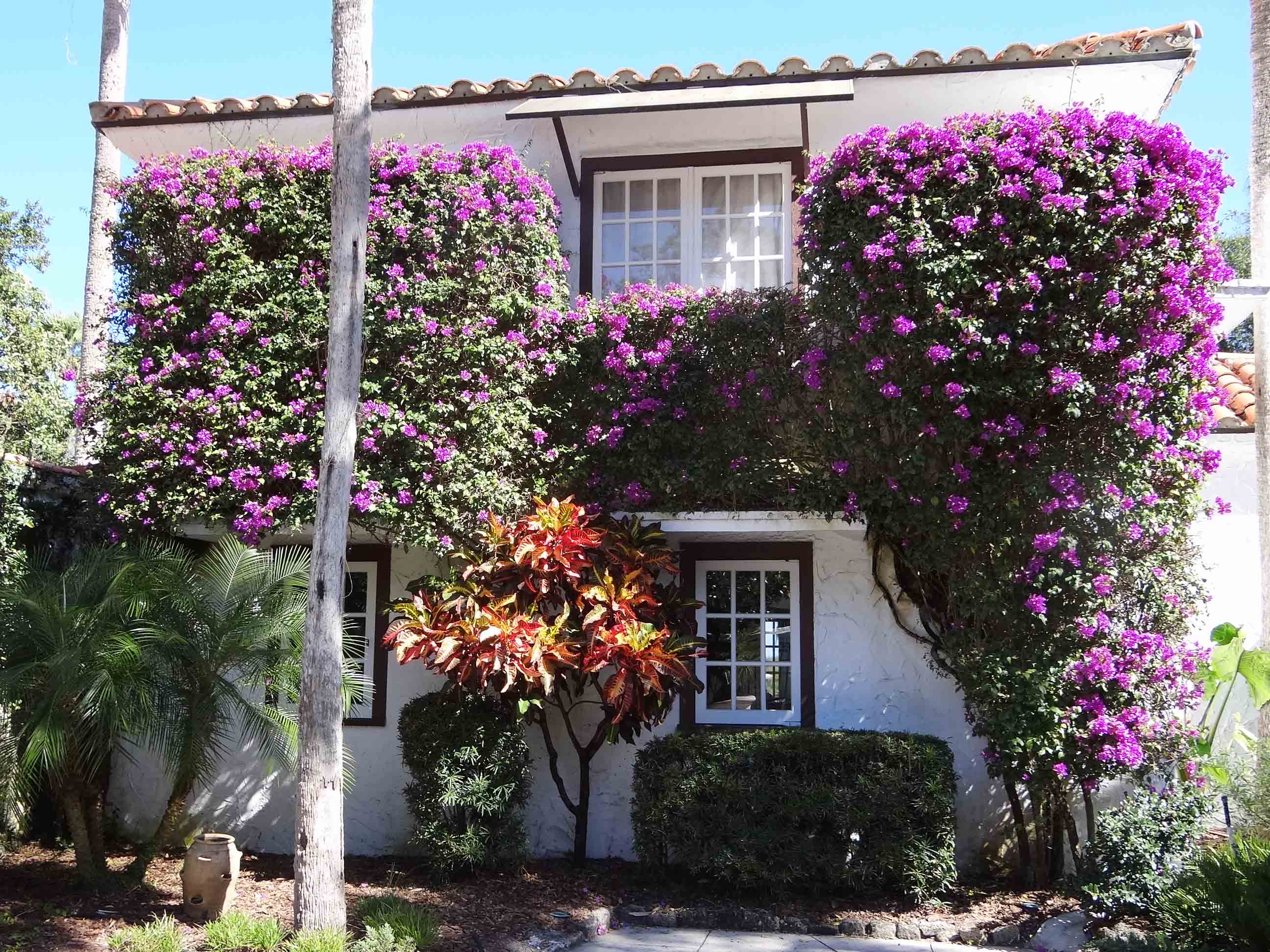 Beachside Gardens, LLC - FORMAL MAINLAND HOME