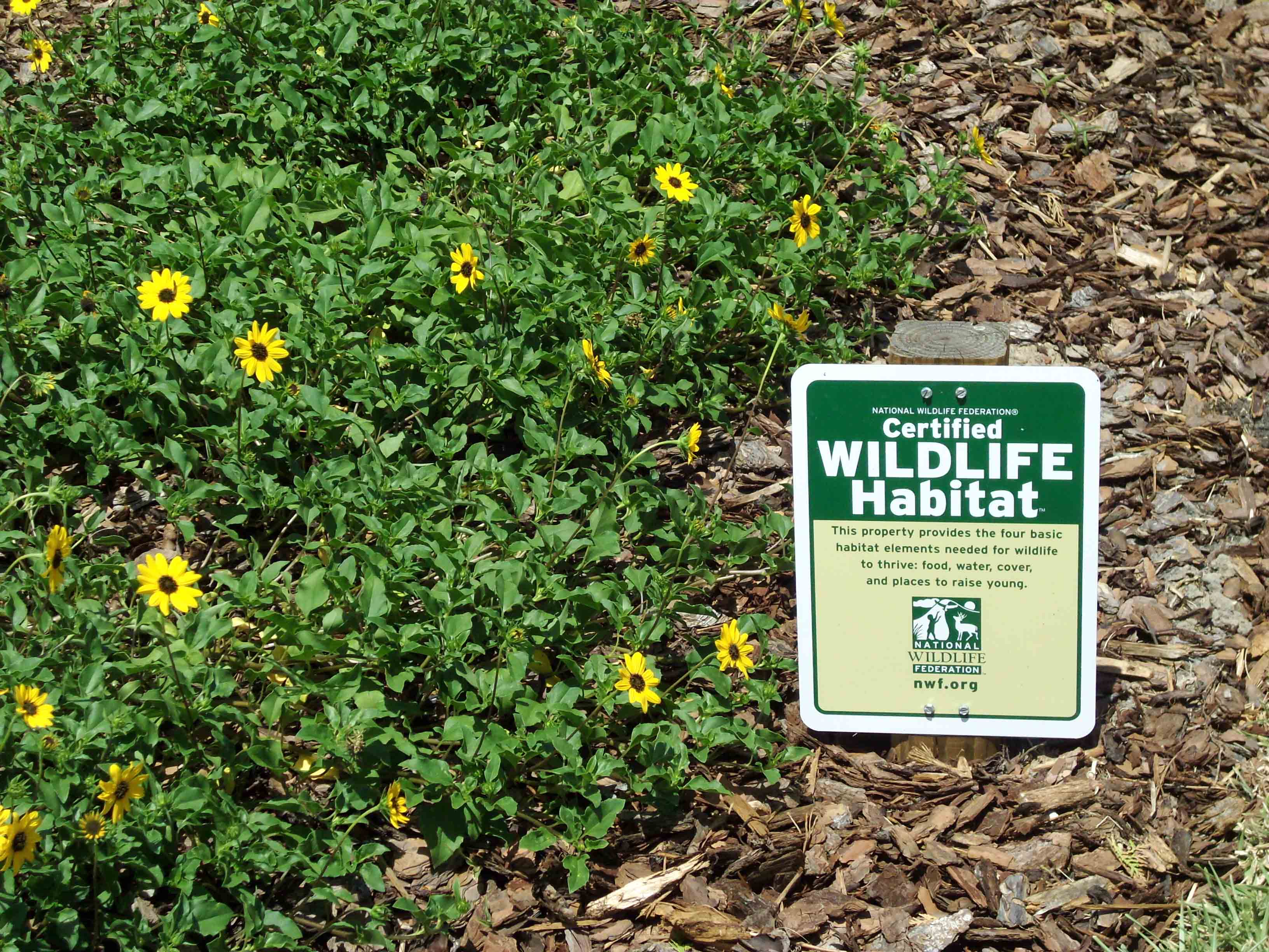 Beachside Gardens, LLC - NATURE FRIENDLY DESIGN