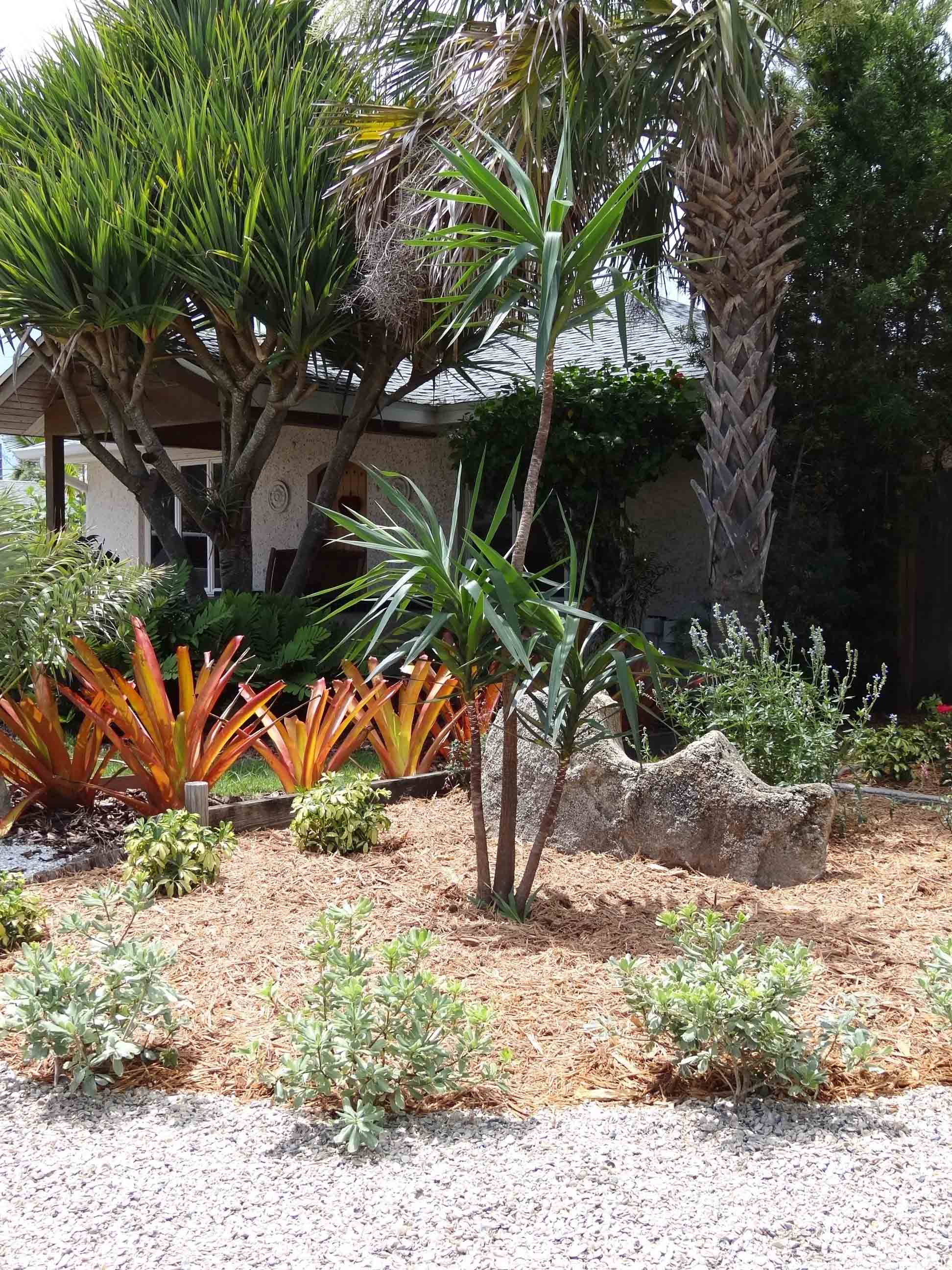 Beachside Gardens, LLC - SALT TOLERANT DESIGN