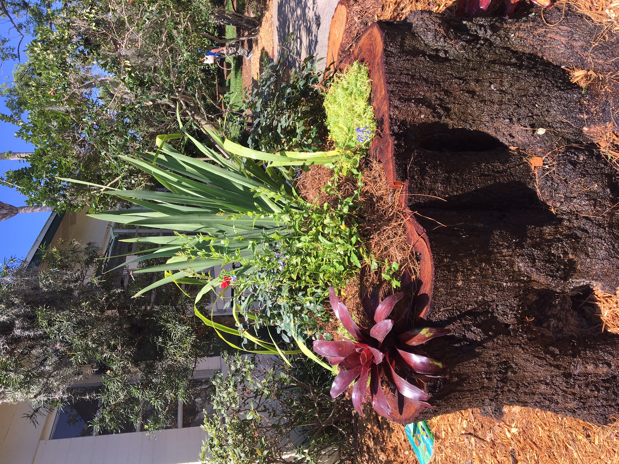 Beachside Gardens, LLC - TREE