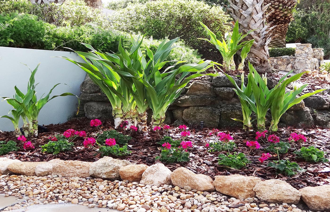 Beachside Gardens, LLC - Coquina