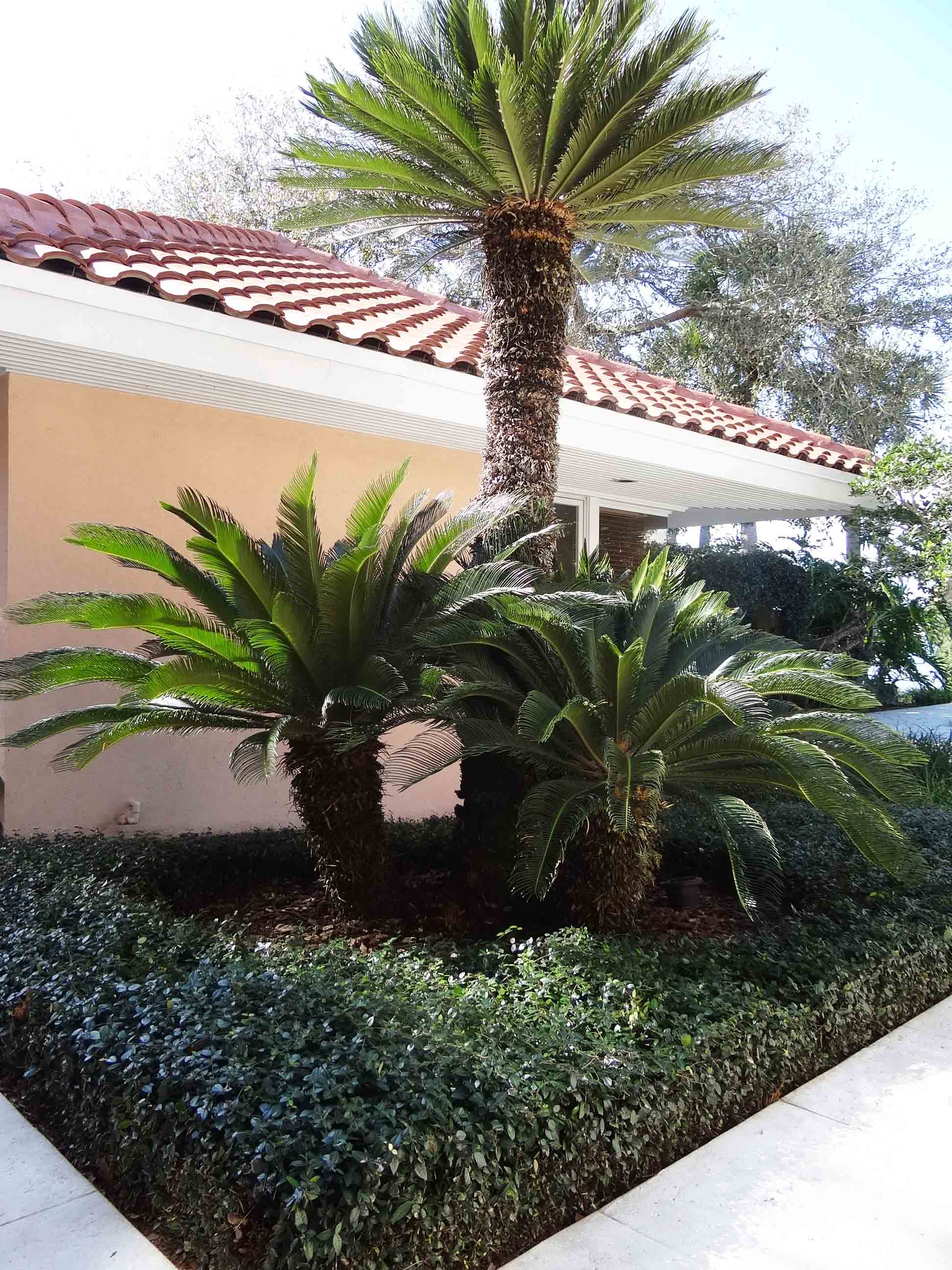 Beachside Gardens, LLC - Courtyard