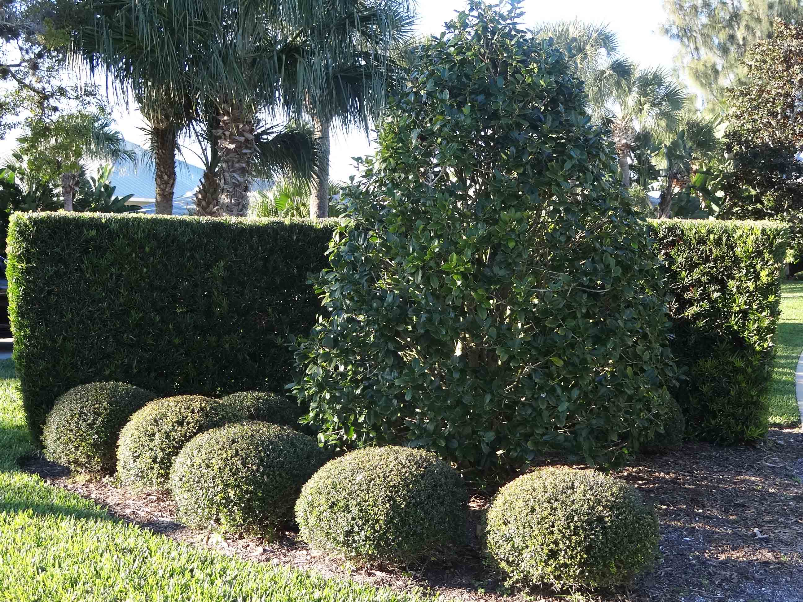 Beachside Gardens, LLC - Formal Landscapes