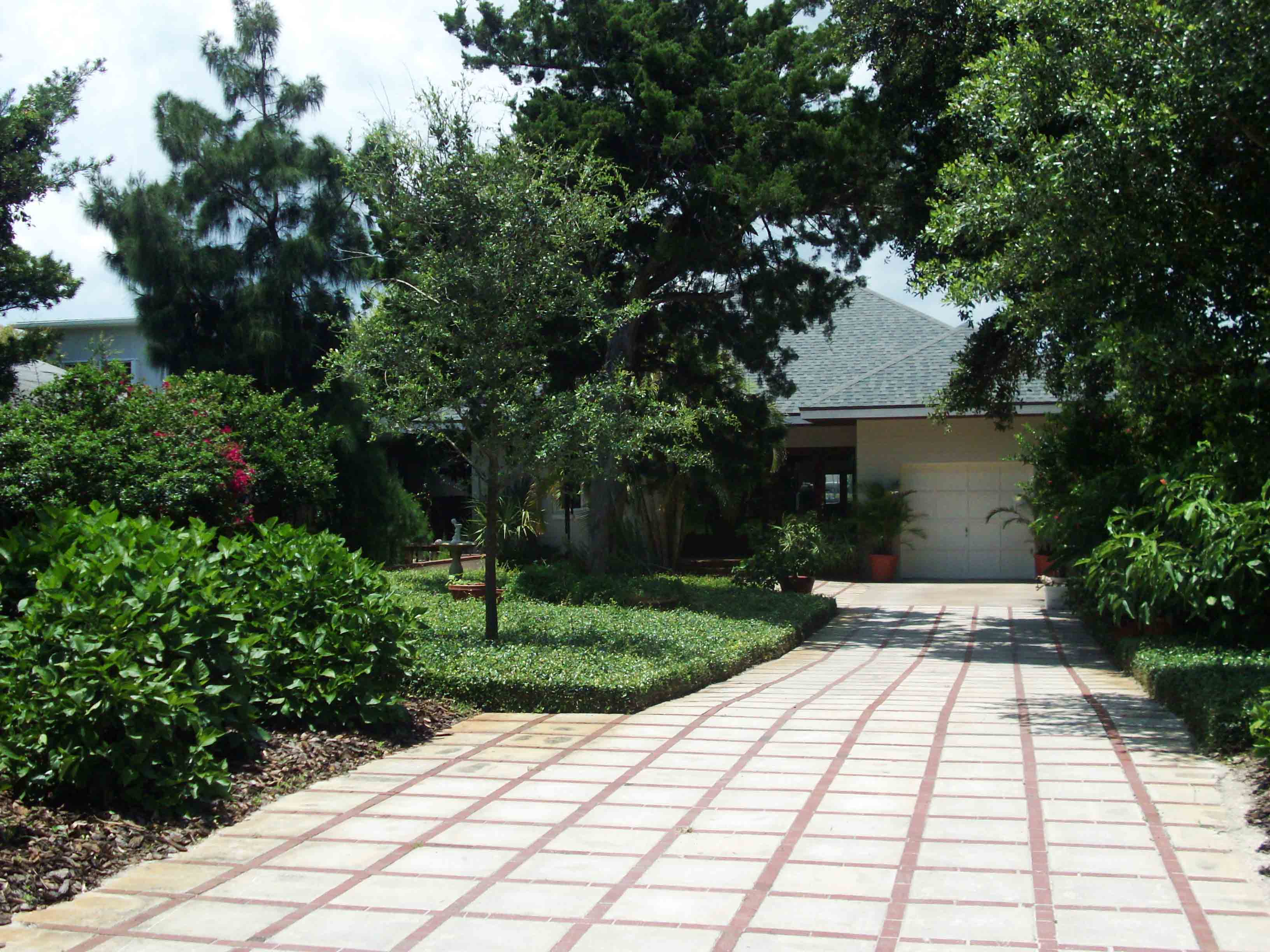 Beachside Gardens, LLC - Jasmine Ground Covering Front Yard