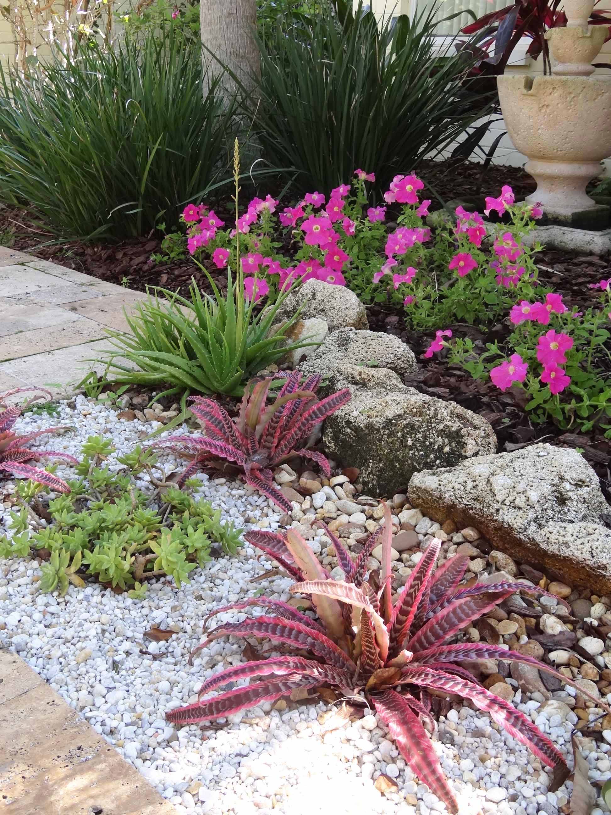 Beachside Gardens, LLC - Succelent Petunias